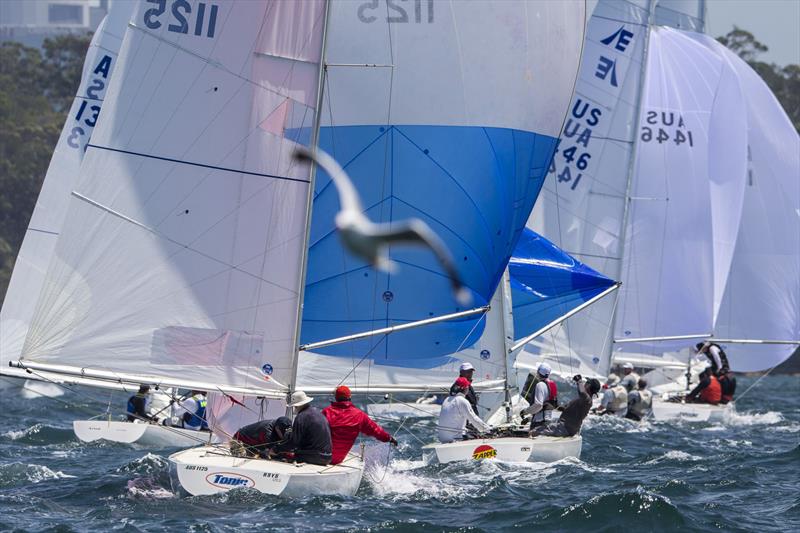 Well there's a lovely artistic image - well done pal! photo copyright Andrea Francolini taken at Royal Sydney Yacht Squadron and featuring the Etchells class