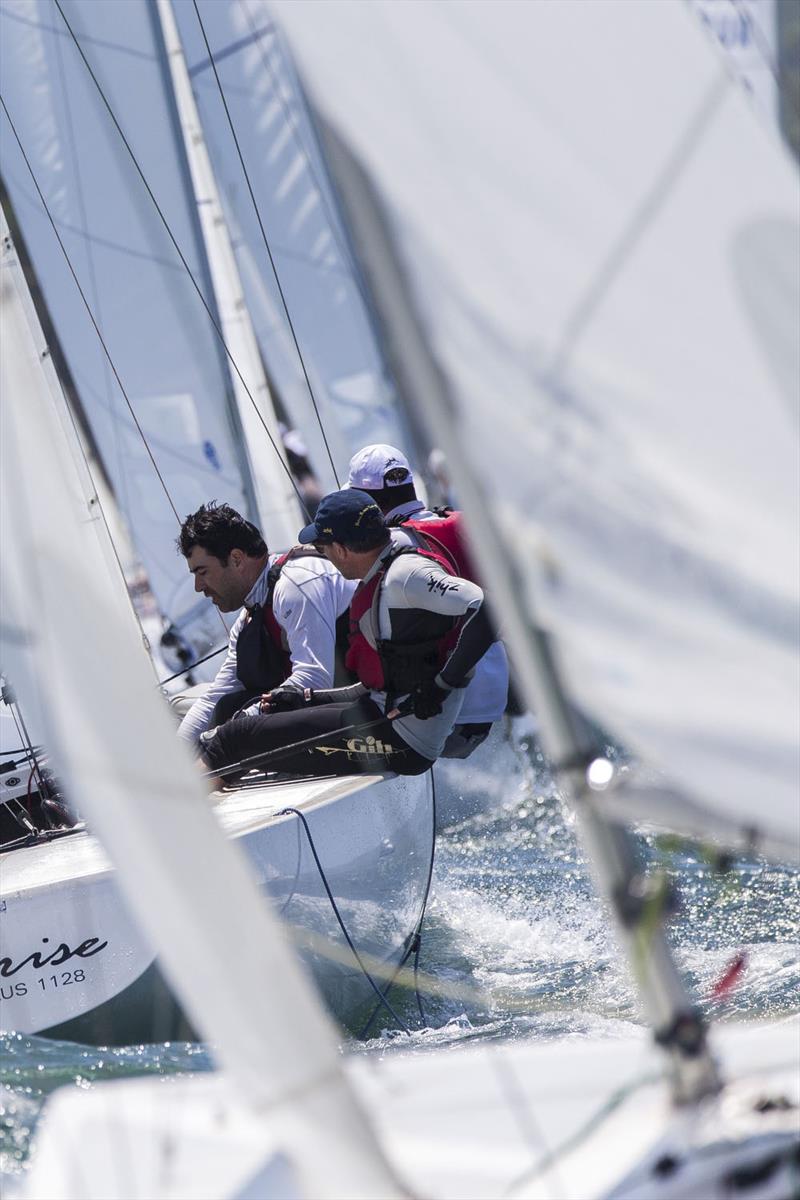 Tight range? You bet photo copyright Andrea Francolini taken at Royal Sydney Yacht Squadron and featuring the Etchells class