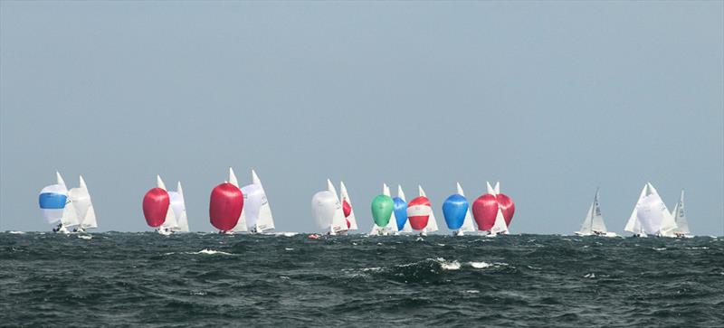 The fleet enjoyed the conditions out on Port Phillip today with 15 knots and some waves to catch photo copyright Alex McKinnon Photography taken at Royal Brighton Yacht Club and featuring the Etchells class