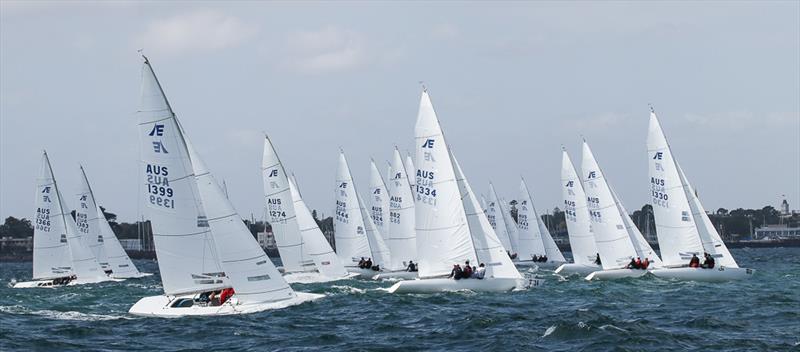 Just after the start in Race Four of the series - photo © Alex McKinnon Photography