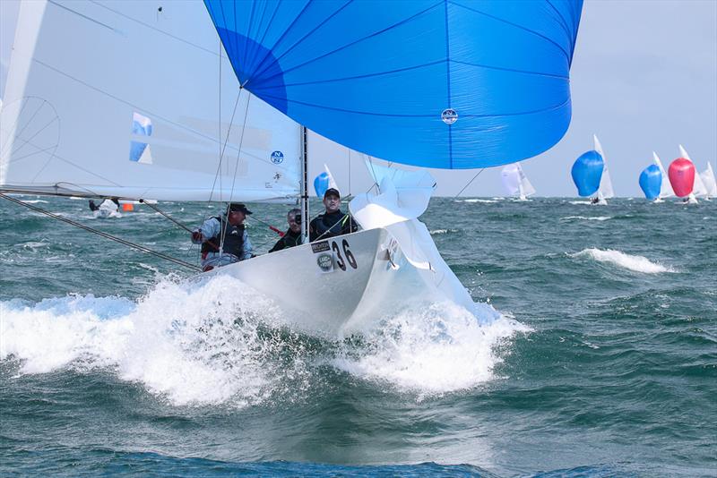 Wobbegong, skipped by Doug Flynn and crewed by Steve McConaghy and Ben Lamb from RSYS catching a wave on the way the finish of Race One photo copyright Alex McKinnon Photography taken at Royal Brighton Yacht Club and featuring the Etchells class