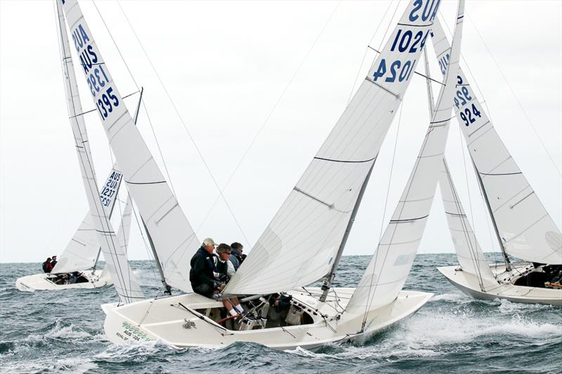 The fleet work towards the top mark for the first time of the day - photo © Alex McKinnon Photography