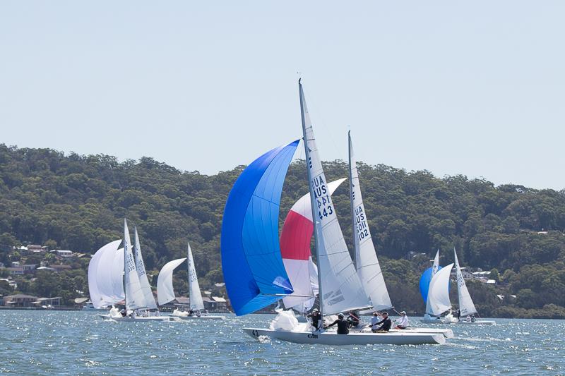 Tango skippered by Chris Hampton and crewed by Sam Haines and Charlie Cumbley enjoy some to the down wind work with the rest of the fleet photo copyright Alex McKinnon Photography taken at Gosford Sailing Club and featuring the Etchells class