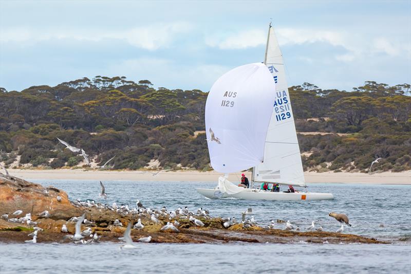 Caillin Howard's Etchell, Stretch, nearing Donnington Rock - 2019 Teakle Classic Lincoln Week Regatta photo copyright Take 2 Photography taken at Port Lincoln Yacht Club and featuring the Etchells class