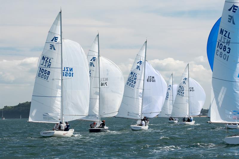 Auckland Etchells Championships - February 2019 photo copyright Etchells NZ taken at Royal New Zealand Yacht Squadron and featuring the Etchells class