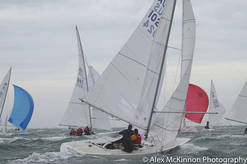 The kite keeping Voodoo Spirit very busy. Skippered by Guyon Wilson and crewed by Ben Ramage and Frank Bucek photo copyright Alex McKinnon Photography taken at Royal Geelong Yacht Club and featuring the Etchells class