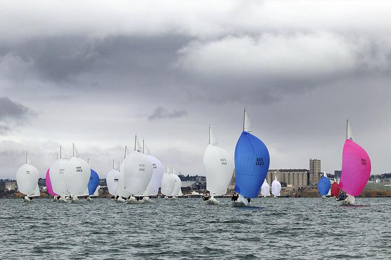 The Etchells fleet with Geelong's silos and yet more of the ever-changing localized cells photo copyright Alex McKinnon Photography taken at Royal Geelong Yacht Club and featuring the Etchells class
