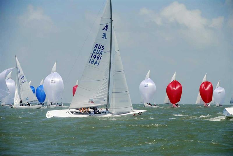 Etchells World Champions Havoc (sail no. 1461) photo copyright CCYC taken at Royal Sydney Yacht Squadron and featuring the Etchells class