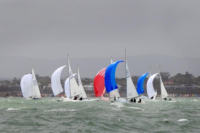 A moment's sunshine comes to greet the fleet. - 2020 Etchells Australian Championship day 4 photo copyright John Curnow taken at Royal Brighton Yacht Club and featuring the Etchells class