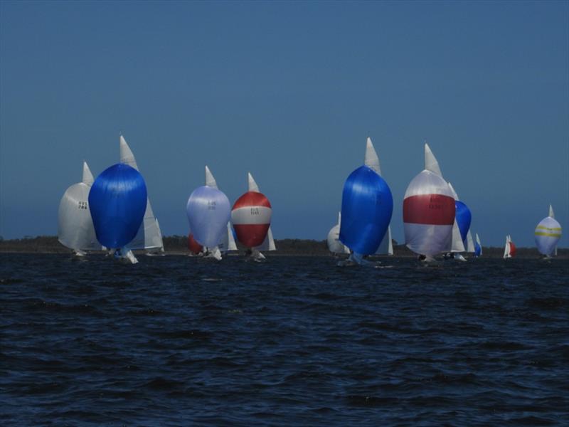 Victorian International Etchells Championship photo copyright Julie-Ann McPherson Photography taken at Metung Yacht Club and featuring the Etchells class