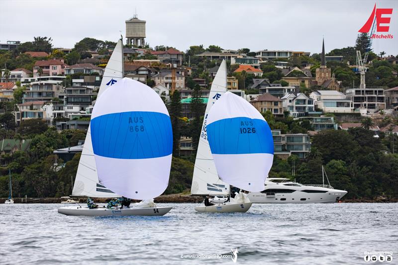 Matching kites as Flirtation and Yandoo XX battle in Race 6 - Etchells NSW Championship - photo © Nic Douglass / www.AdventuresofaSailorGirl.com