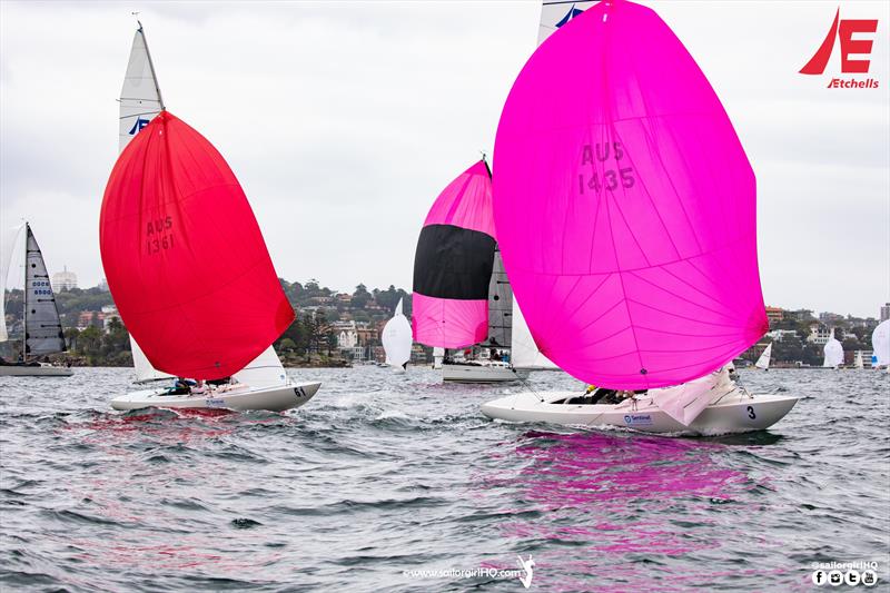 Flying High 2 edge in front of Dawn Raid after they did turns at the top - Etchells NSW Championship photo copyright Nic Douglass / www.AdventuresofaSailorGirl.com taken at Royal Sydney Yacht Squadron and featuring the Etchells class
