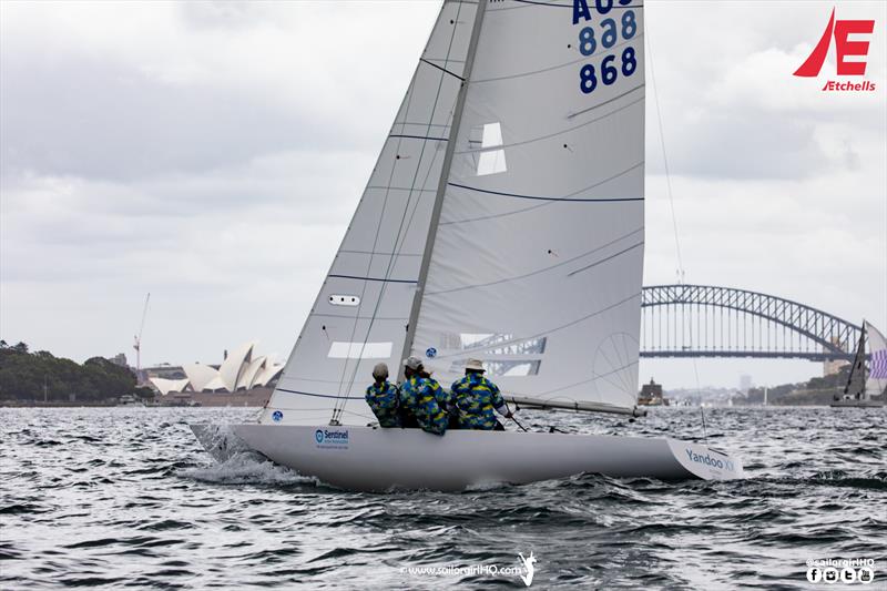 Yandoo XX were boat of the day on day two - Etchells NSW Championship photo copyright Nic Douglass / www.AdventuresofaSailorGirl.com taken at Royal Sydney Yacht Squadron and featuring the Etchells class