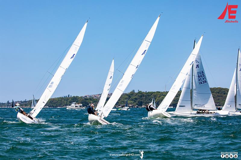 A bit of traffic along the shore in Race 8 - Etchells NSW Championship photo copyright Nic Douglass / www.AdventuresofaSailorGirl.com taken at Royal Sydney Yacht Squadron and featuring the Etchells class