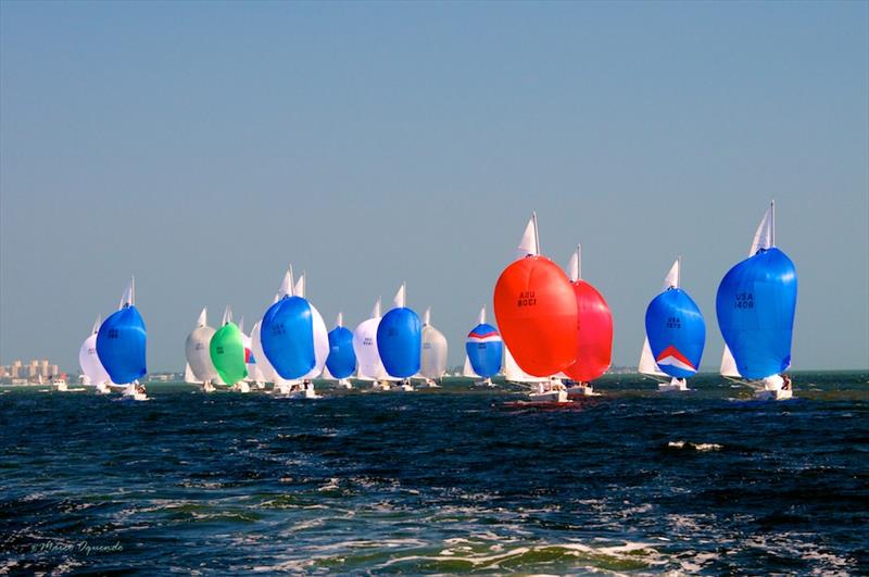 Racecourse action at the Etchells Coral Reef Cup photo copyright Images courtesy of Marco Oquendo (Images by Marco; www.marcophoto.zenfolio.com) taken at Coral Reef Yacht Club and featuring the Etchells class