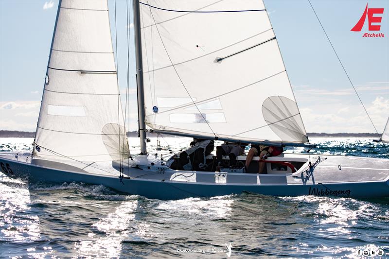 Wobbegong - 2022 Gold Coast and Australasian Etchells Championship photo copyright Nic Douglass @sailorgirlhq taken at  and featuring the Etchells class