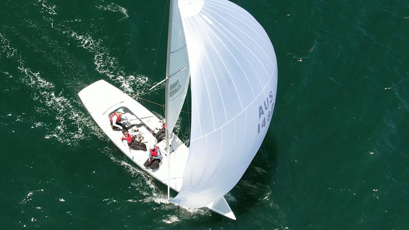 Etchells NSW State Championship 2024 - Golden Tacticians photo copyright Terry Calley for Hippodrone taken at Royal Prince Alfred Yacht Club and featuring the Etchells class