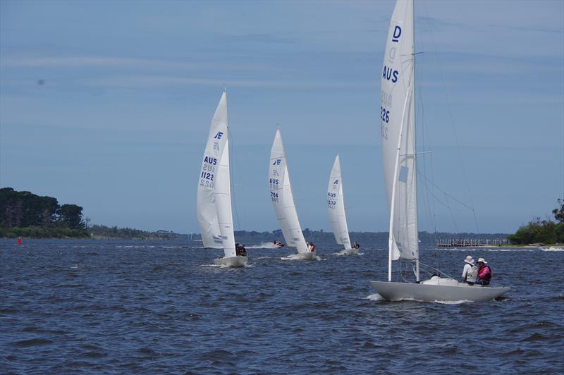 Seventeen Etchells yachts will contest the Victorian championships at Metung on January 26 to 28 photo copyright Jeanette Severs taken at Metung Yacht Club and featuring the Etchells class