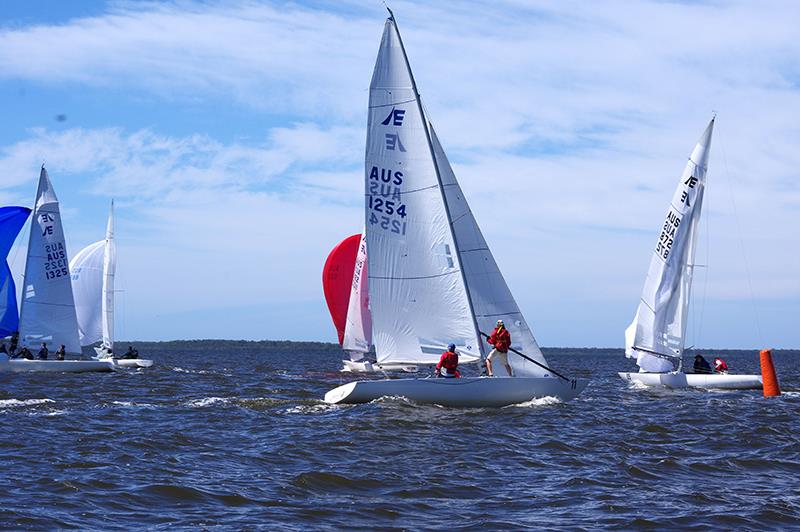 Odyssey (AUS1254) and Count Boris's Secret Rendezvous (AUS872) contest the windward gate on the race course on Lake King at Metung - Etchells Victorian Championship 2024 photo copyright Jeanette Severs taken at Metung Yacht Club and featuring the Etchells class