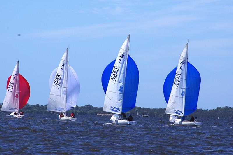 Basic Instinct (AUS1122), Odyssey (AUS1254), Elusive (AUS1360) and Quandong (AUS1245) with spinnakers up on Lake King at Metung - Etchells Victorian Championship 2024 photo copyright Jeanette Severs taken at Metung Yacht Club and featuring the Etchells class