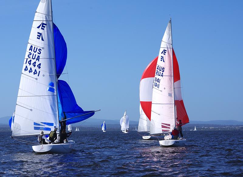 Playing Around 3, Men's Shirts Short Skirts, Feng Shui and other yachts in the fleet with spinnakers flying - Etchells Victorian Championship 2024 photo copyright Jeanette Severs taken at Metung Yacht Club and featuring the Etchells class