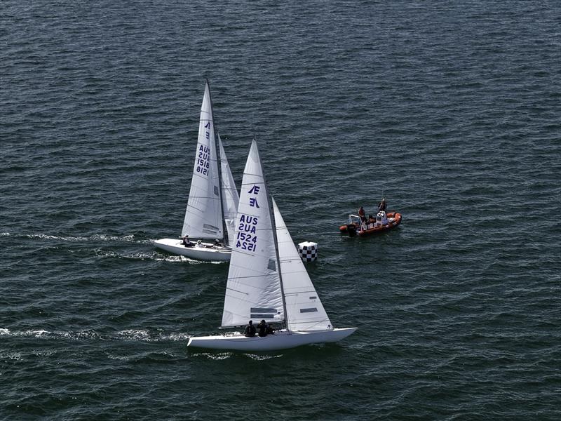 Tiger winning the last race over Flying High - Etchells Victorian State Championship 2026 - photo © Terry Calley for Hippodrone