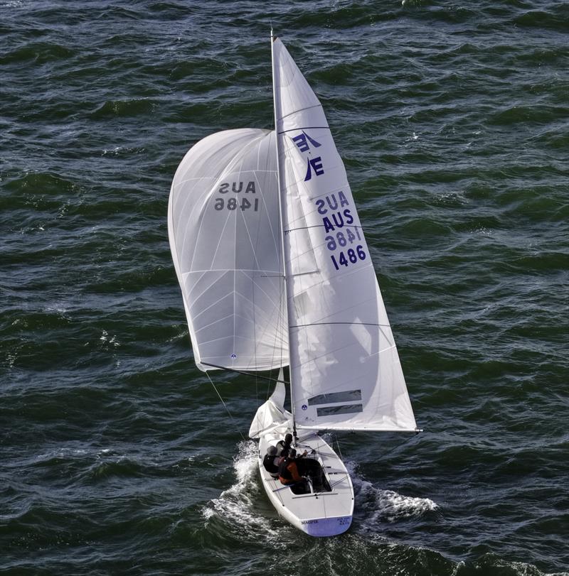 Magpie won the regatta - here winning a race on breezy day one - Etchells Victorian State Championship 2026 photo copyright Terry Calley for Hippodrone taken at Royal Brighton Yacht Club and featuring the Etchells class