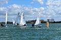 16 Europe sailors meet at Chichester for the first open meeting of the season © Karen Cheesman