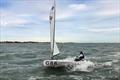 Mandy Horton - Europe class UK National Championships at Stokes Bay © Paul Gardener