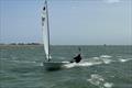Jason Russell - Europe class UK National Championships at Stokes Bay © Paul Gardener