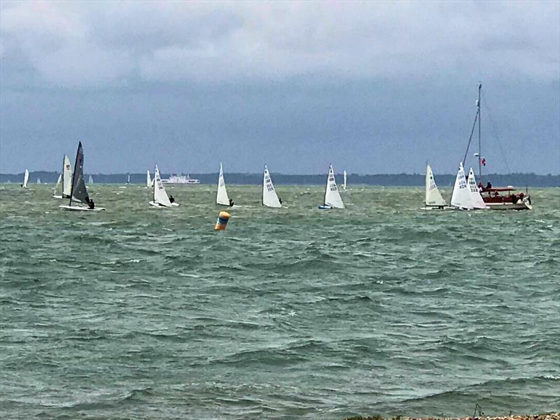 Europes at Lee on the Solent photo copyright Hattie Tweedle taken at Lee-on-the-Solent Sailing Club and featuring the Europe class