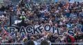 BlackFoils enjoy an enthusiastic fan base 