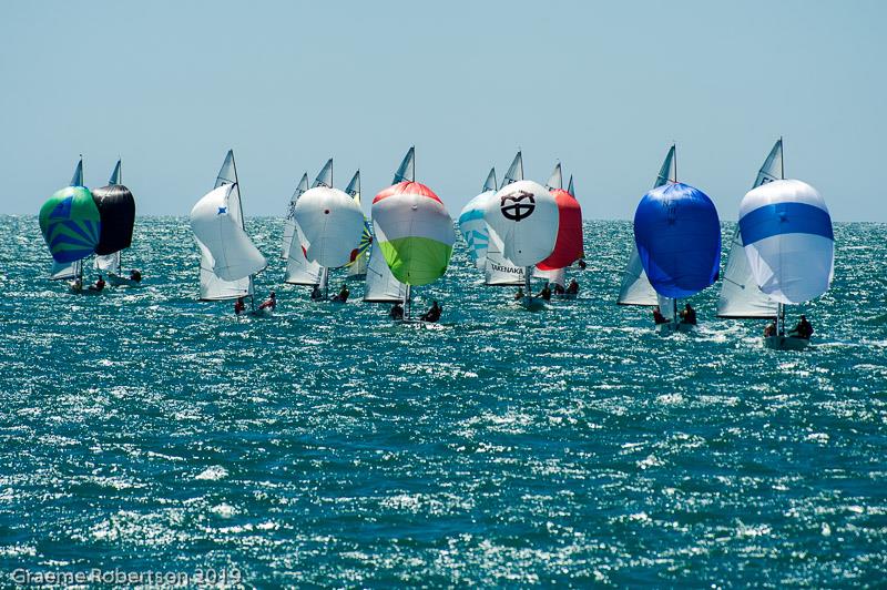 2019 Flying Dutchman World Championships photo copyright Graeme Robertson taken at Nelson Yacht Club and featuring the Flying Dutchman class