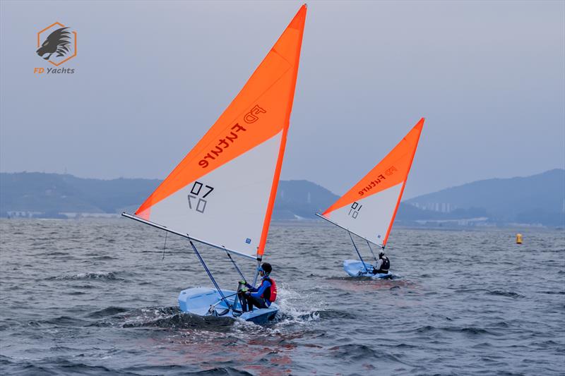 11th Shenzhen Dapeng Cup Sailing Regatta photo copyright Shanghai MengYang Media taken at  and featuring the FD Future class