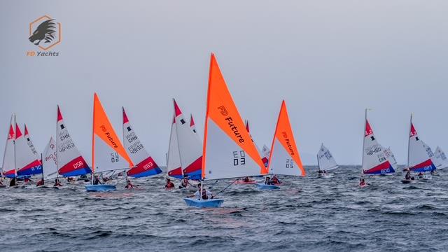 11th Shenzhen Dapeng Cup Sailing Regatta photo copyright Shanghai MengYang Media taken at  and featuring the FD Future class