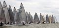 Racing at the 2014 Finn Silver Cup in Hoorn © Robert Deaves