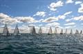 Finn Southern Championships at Mengeham Rythe Sailing Club © Scott Collison