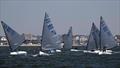 UK Finn Masters Championships at Thorpe Bay