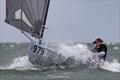 Gus Miller, USA - 2026 Finn World Masters day 2
