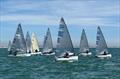 Finn UK Masters Championship at Hayling Island Sailing Club &copy; HISC