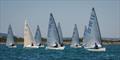 Chichester Harbour Race Week &copy; Peter Hickson
