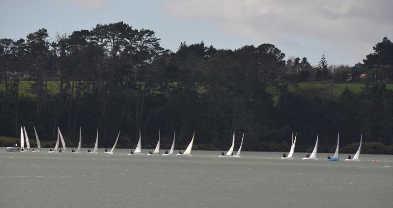 Race 1 start - Waiuku Finn Masters Regatta photo copyright Gary Morse taken at  and featuring the Finn class