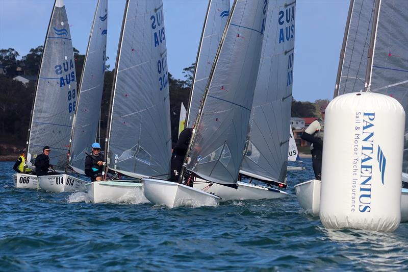 Finn class racing at Sail Port Stephens - photo © PromoceanMedia