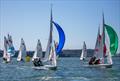 Irish Fireball Munster Championships © Bob Bateman