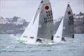 Fireball open meeting at Torbay