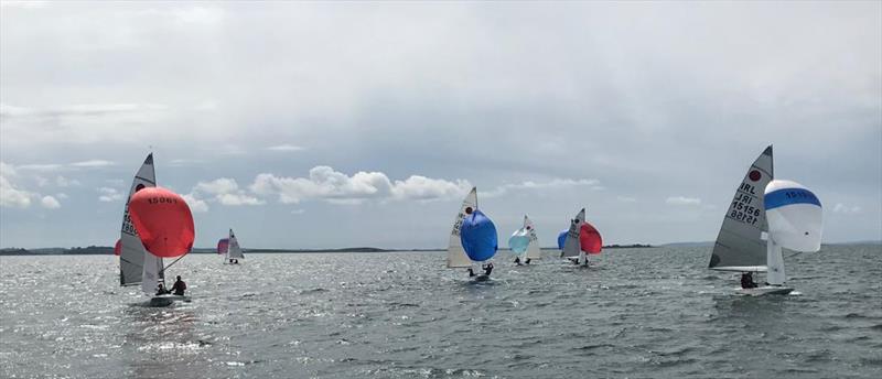 Sunday morning sailing, Butler/Inan (red spinnaker left), Twohig/Porter (blue spinnaker centre) and the Thompsons (white/blue spinnaker right) during the Fireball Ulsters at Newtownards photo copyright Andrew Corkhill taken at Newtownards Sailing Club and featuring the Fireball class