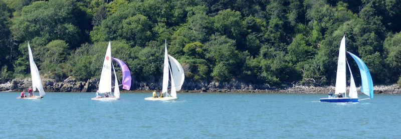 three Fireballs on your tail! Katie Bishop and Nicola McColm (RS400) lead the Fireballs of Jack Jardine and James Kelly ahead of Ellie Rowand and Lilli Bell, James Bishop and Alex Lammie in pursuit during Kippford Week 2022 photo copyright Becky Davison taken at Solway Yacht Club and featuring the Fireball class