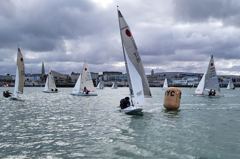 Viking Marine DMYC Frostbite Series 2 - photo © Ian Cutliffe