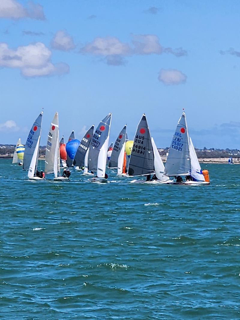 Fireball Australian Nationals at Geelong Day 1 photo copyright Michelle Thompson taken at Royal Geelong Yacht Club and featuring the Fireball class