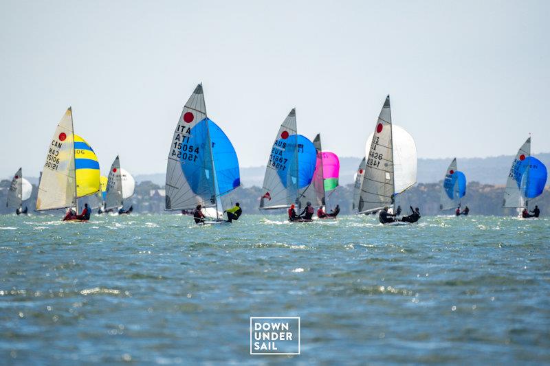 Challenging conditions on the penultimate day - Fireball Worlds at Geelong day 5 - photo © Alex Dare, Down Under Sail